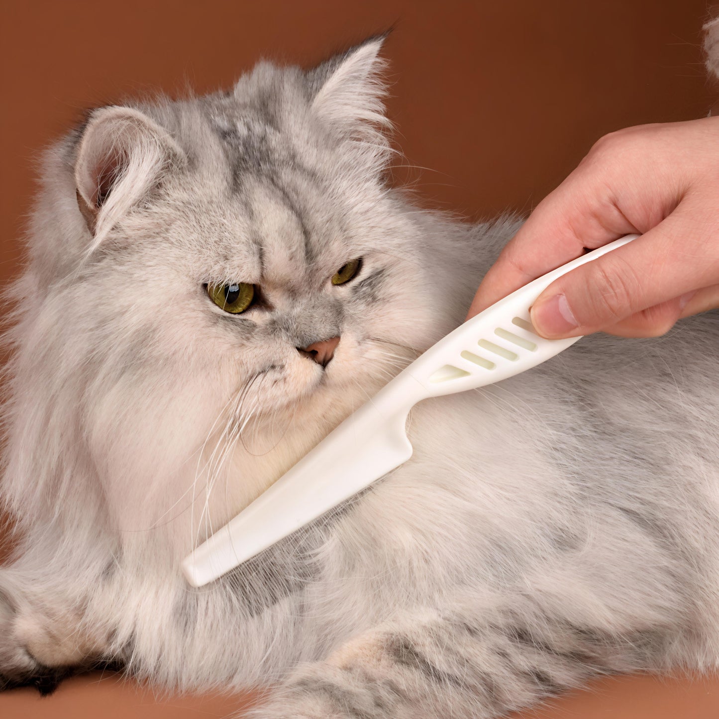 Stainless Steel Flea Comb