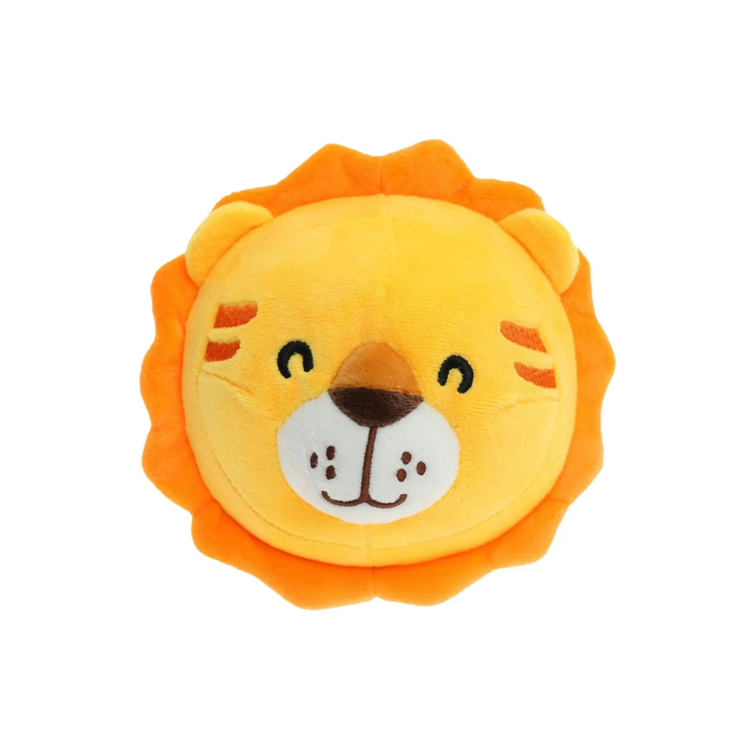 Pet Bouncing Ball