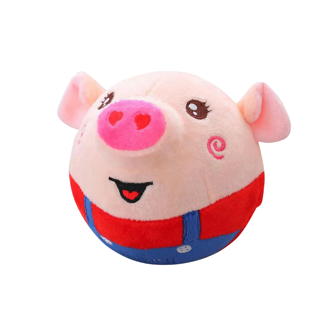 Pet Bouncing Ball