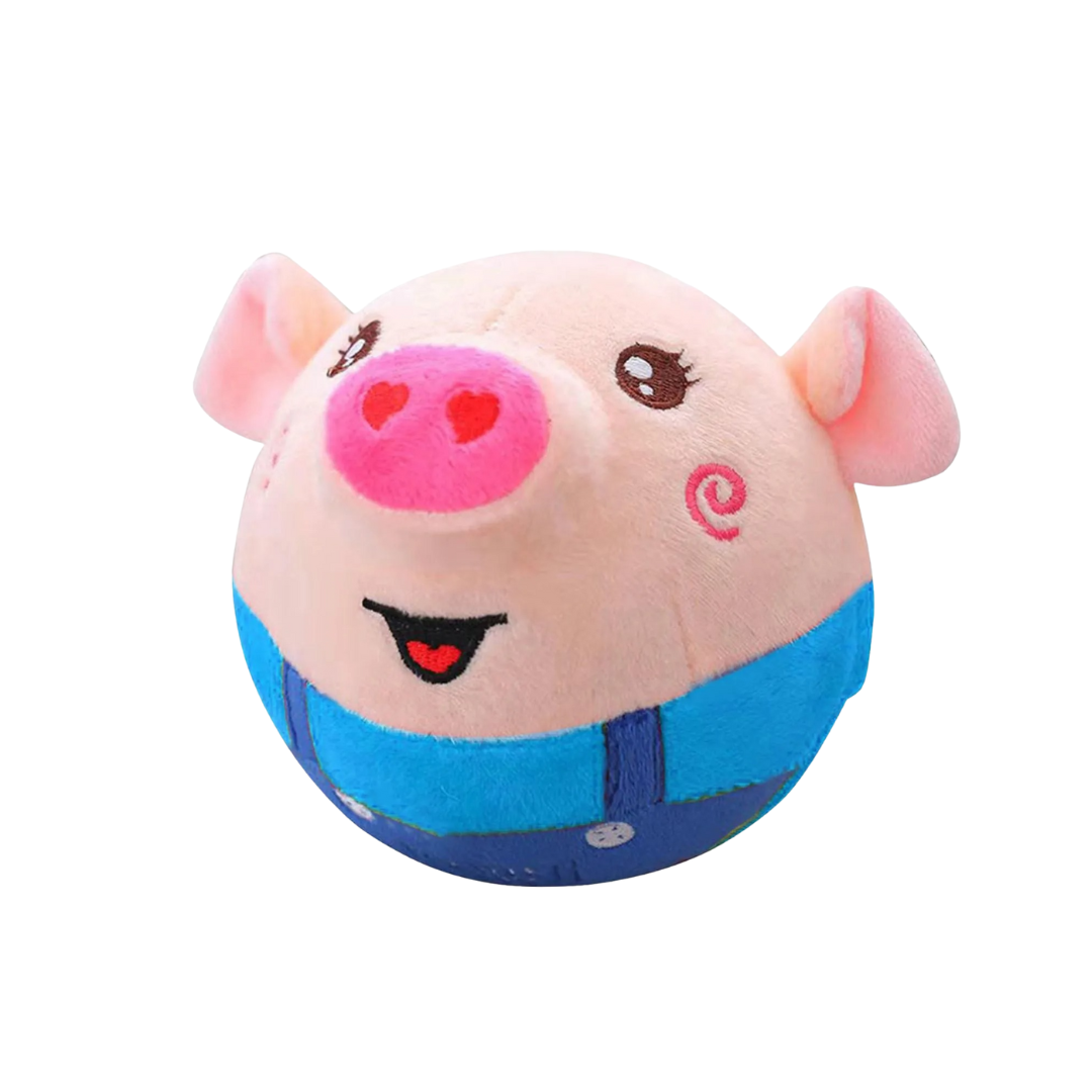 Pet Bouncing Ball