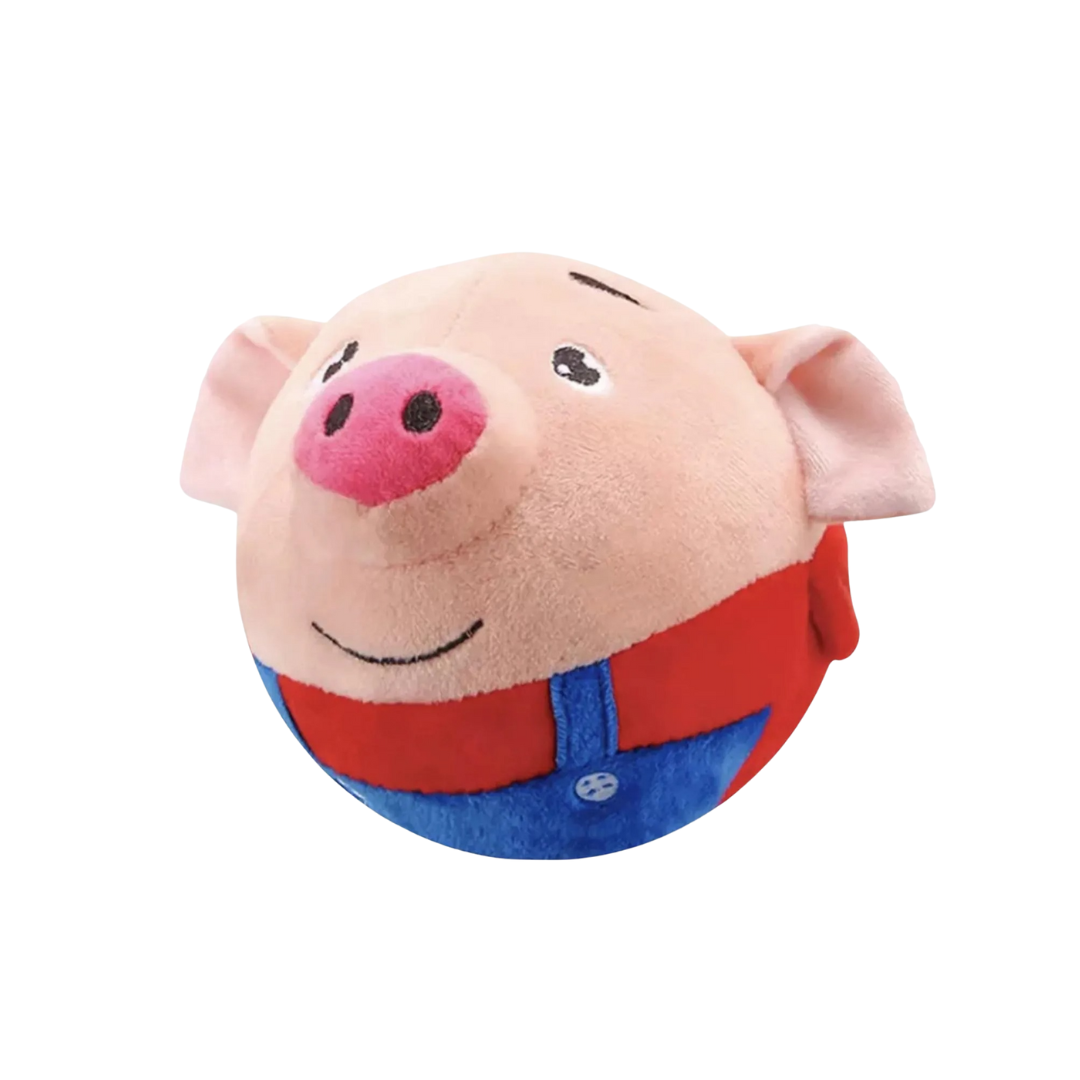 Pet Bouncing Ball