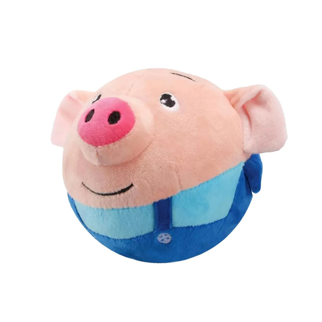 Pet Bouncing Ball