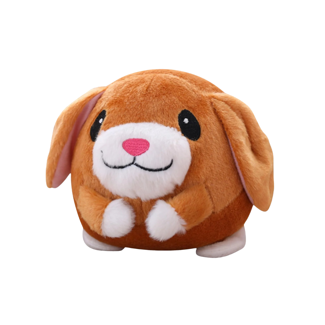 Pet Bouncing Ball