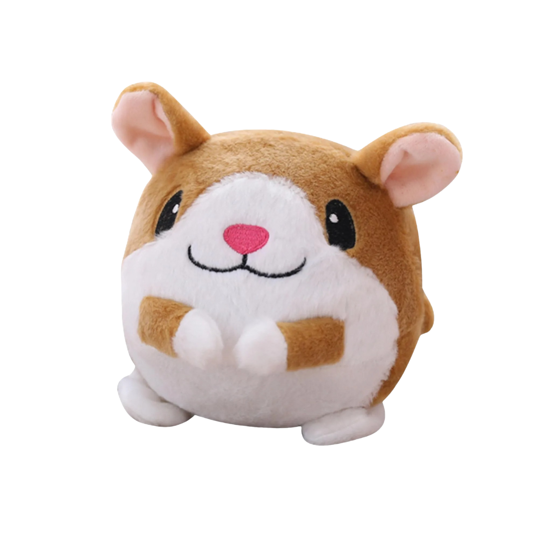 Pet Bouncing Ball