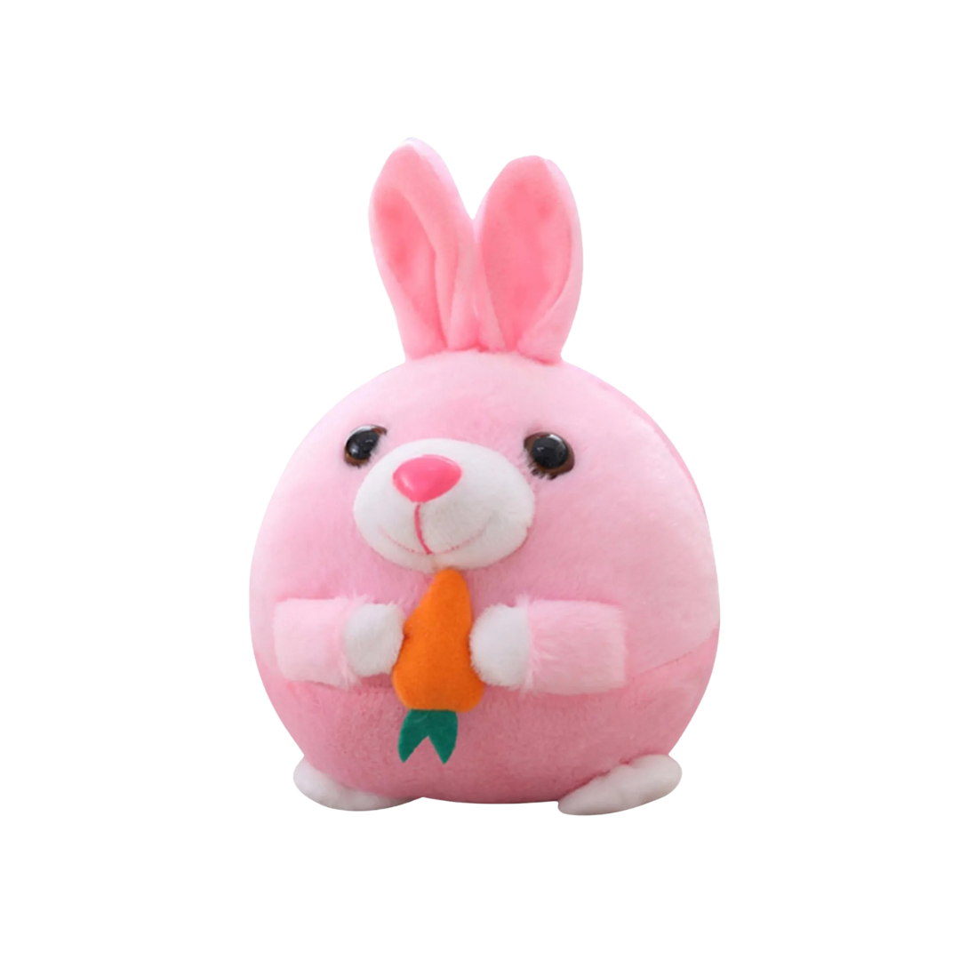 Pet Bouncing Ball