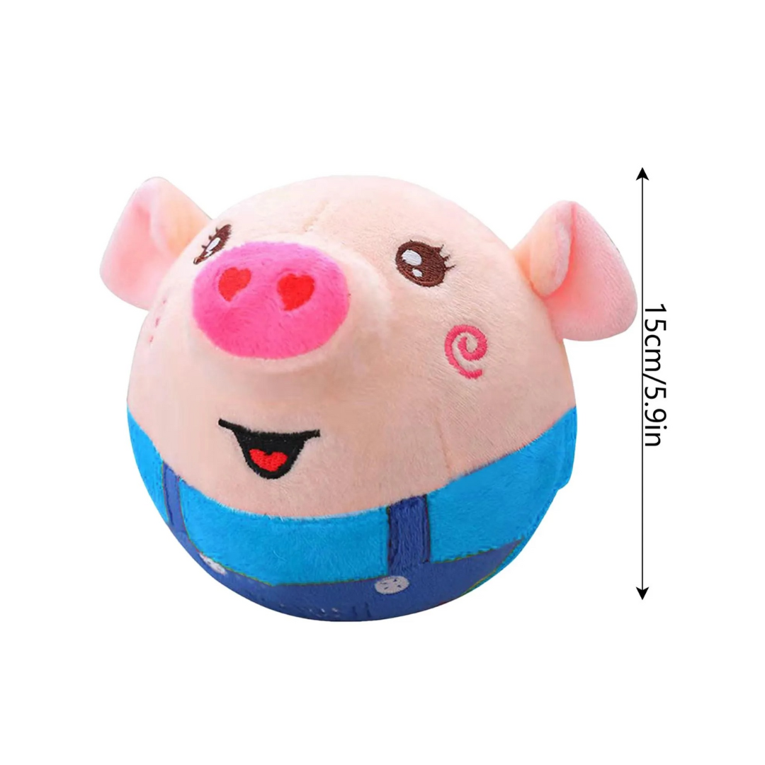 Pet Bouncing Ball