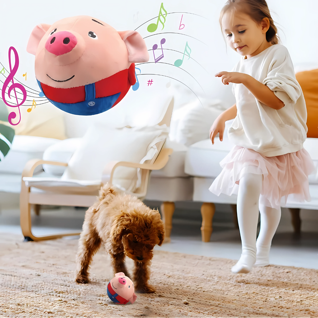 Pet Bouncing Ball