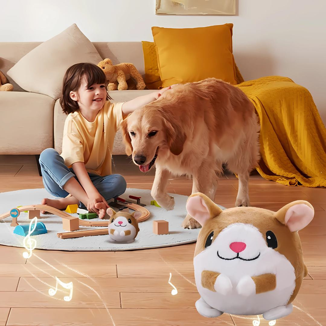 Pet Bouncing Ball