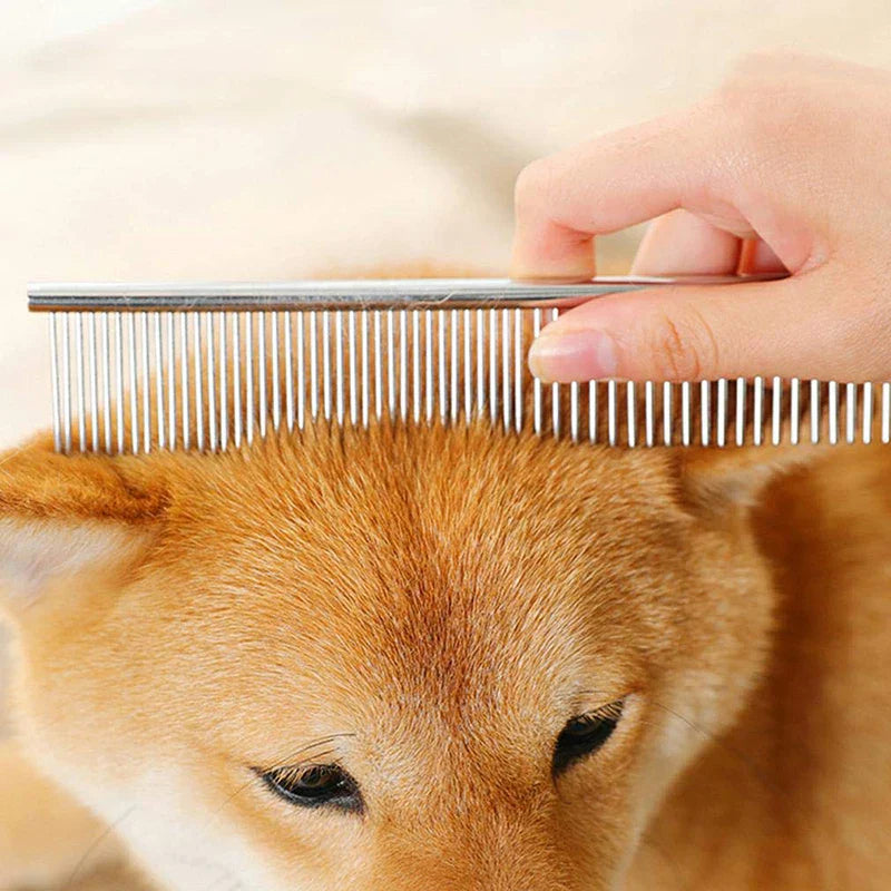 Flea & Tick Control